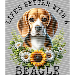 Animal Text Series-AT 3706